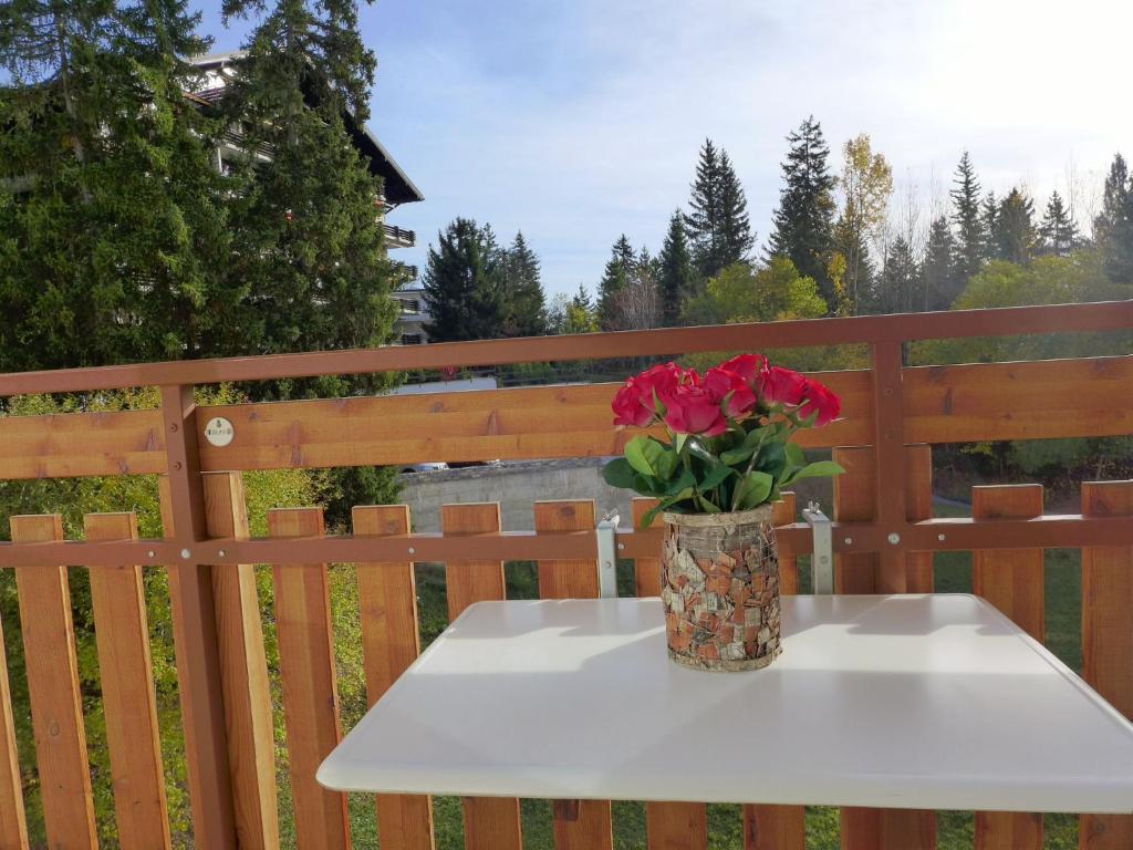 Apartment Barzettes-Vacances B 455- entrée n-16 by Interhome - 5