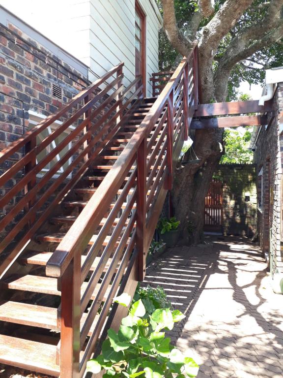 Bushmansriver Tree-House photo