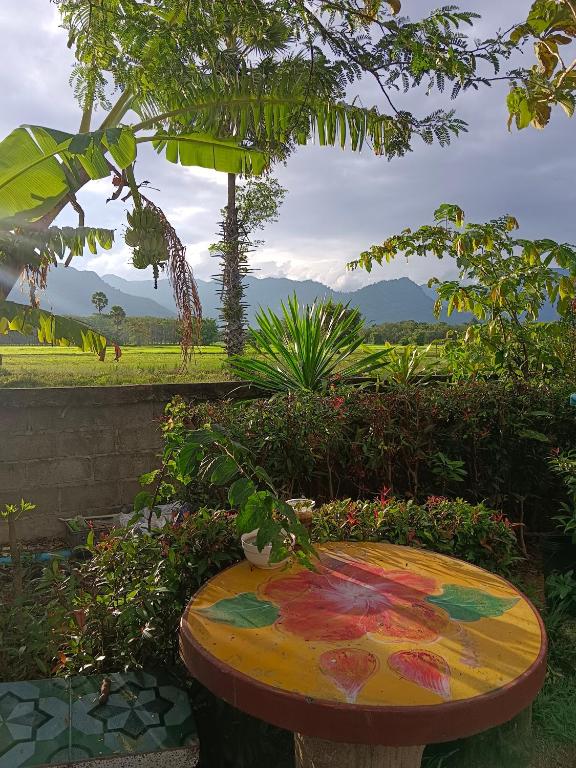 4 seasons mini house