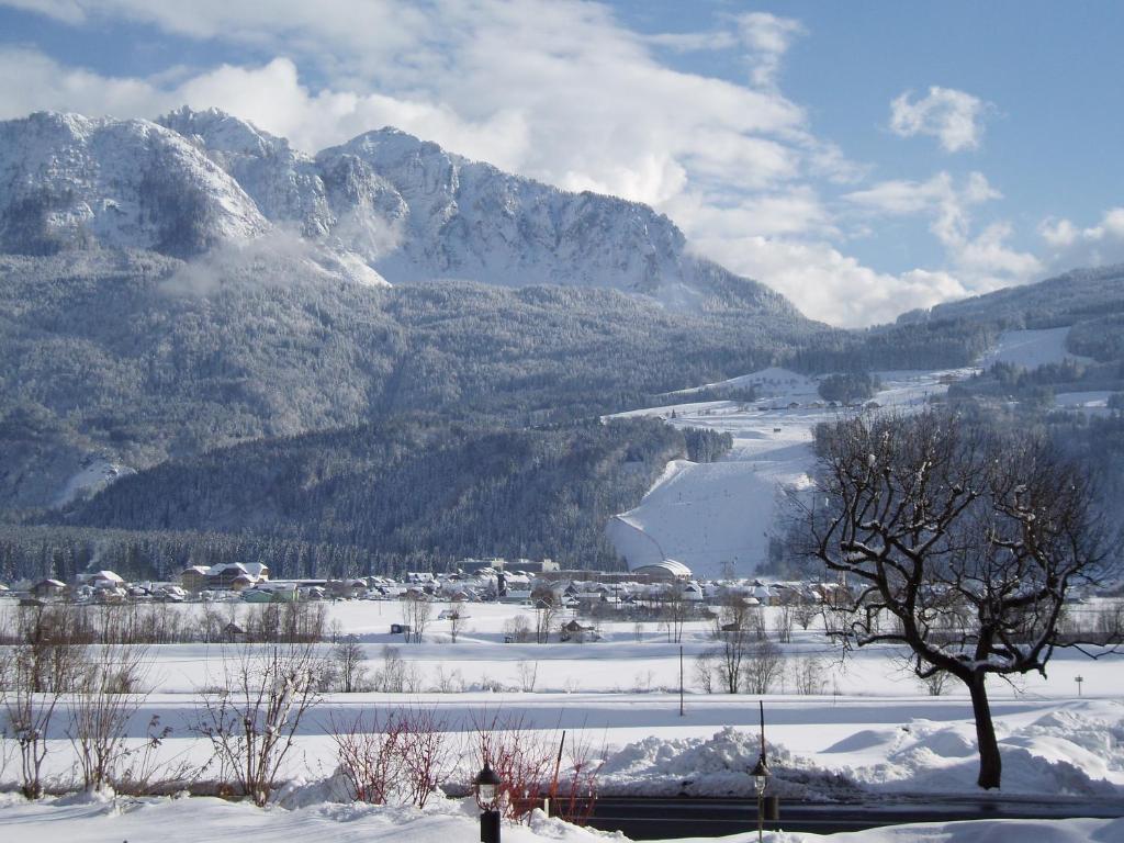 Hotel-Gasthof Strasswirt - 4