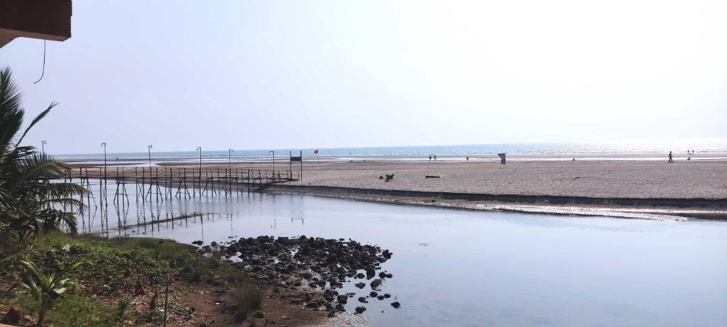 Turtle Beach Stay photo