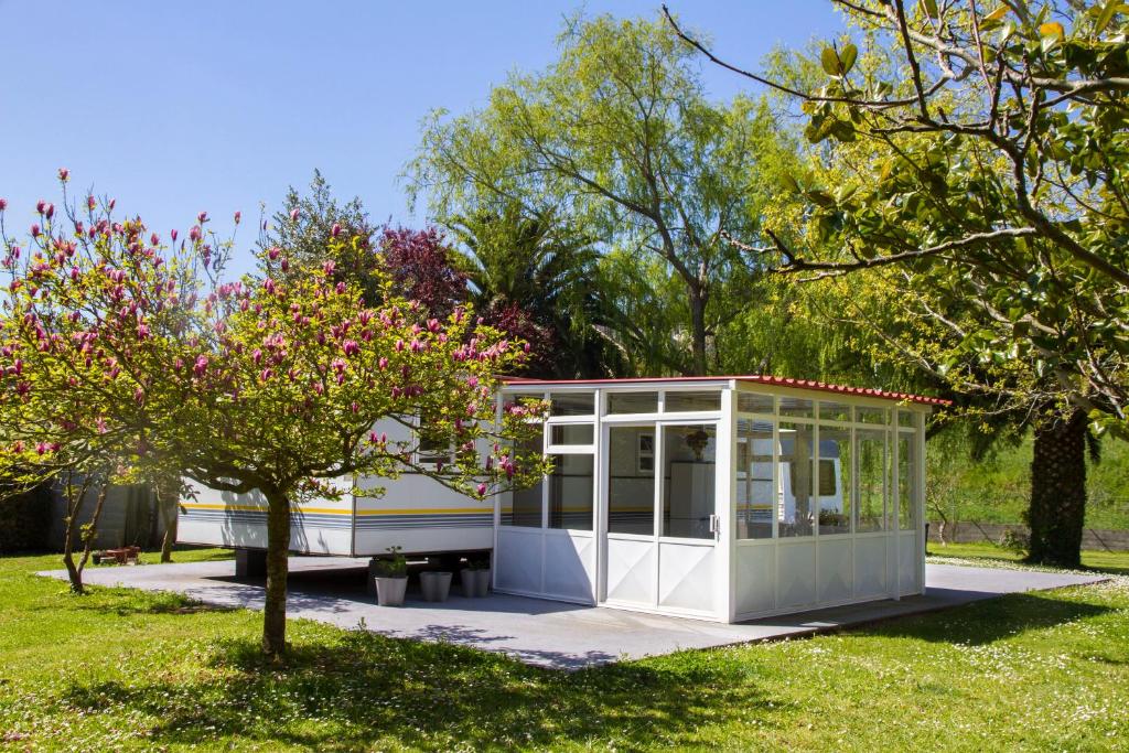 Xilloi Playa, O Vicedo