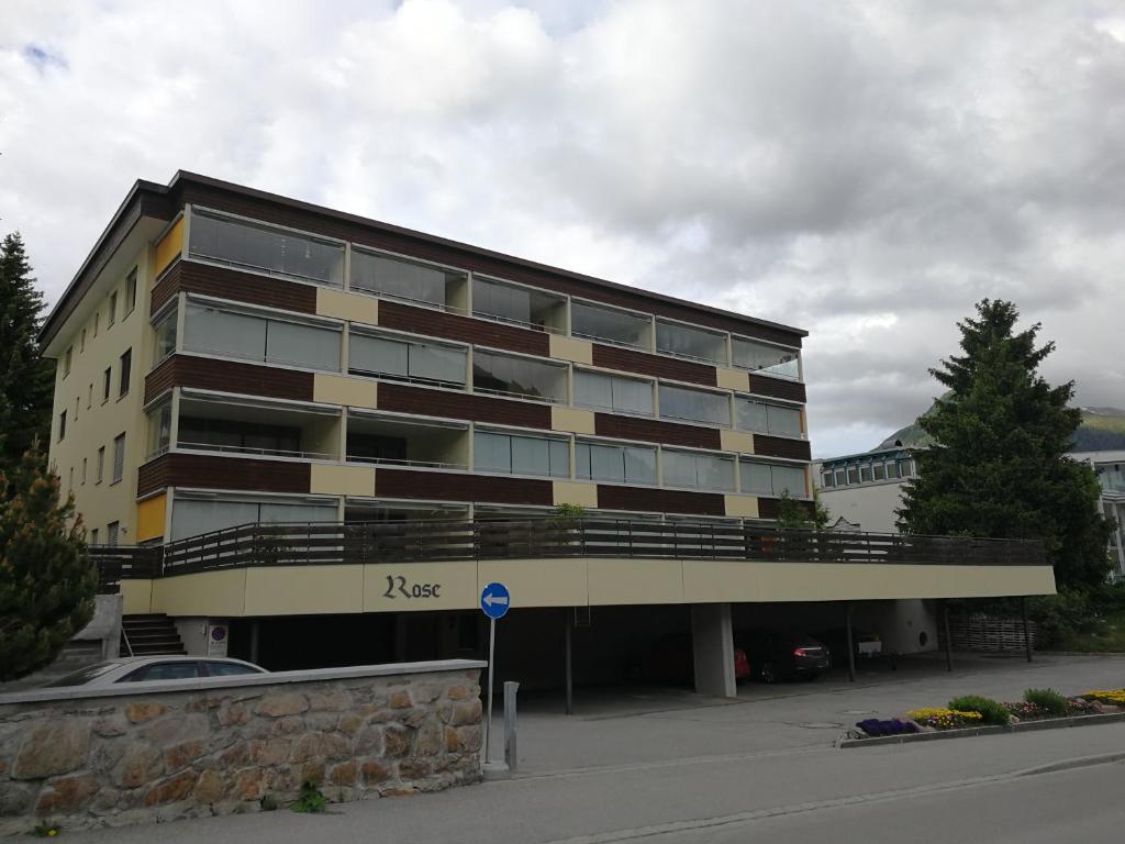 Rose Davos - 1
