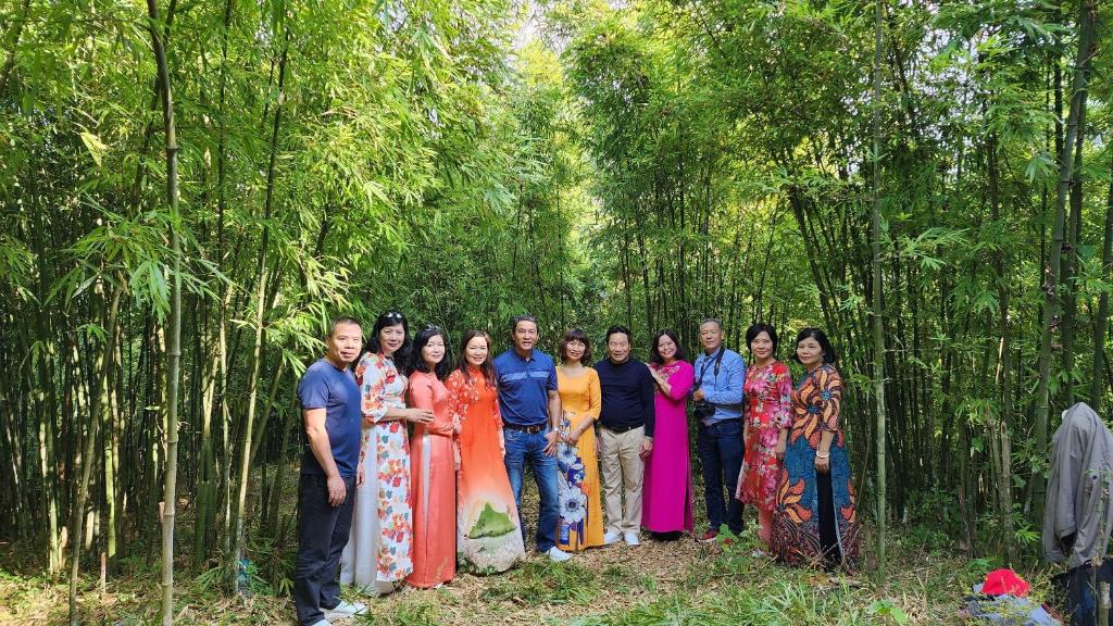 Tavan Dragon House photo