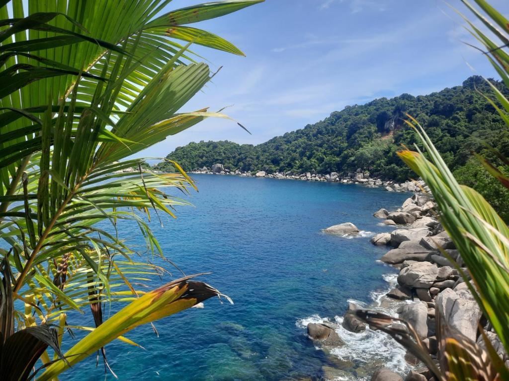 Hinwong Apartments Dive and Snorkel Resort photo