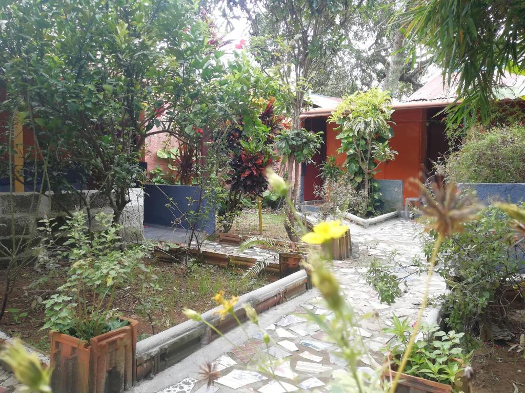 Orange Garden Resort photo