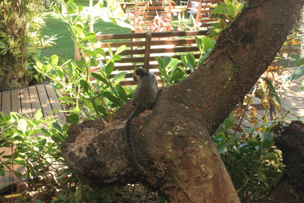 Pousada Aroeira photo
