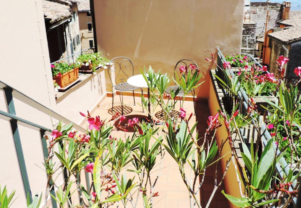 Hotel Signa photo
