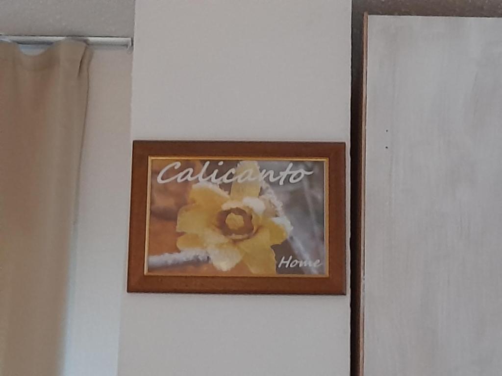 Calicanto Home - 2