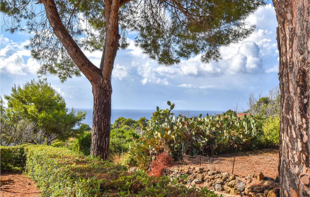 Nice apartment in Ustica with 2 Bedrooms photo