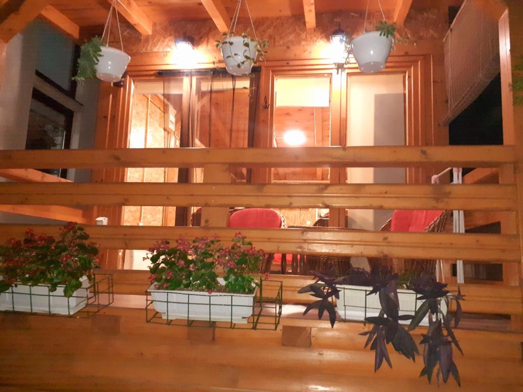Obiteljski Apartman Borovi - 5