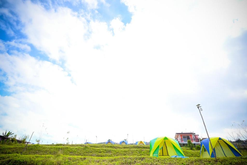 Surrounding environment