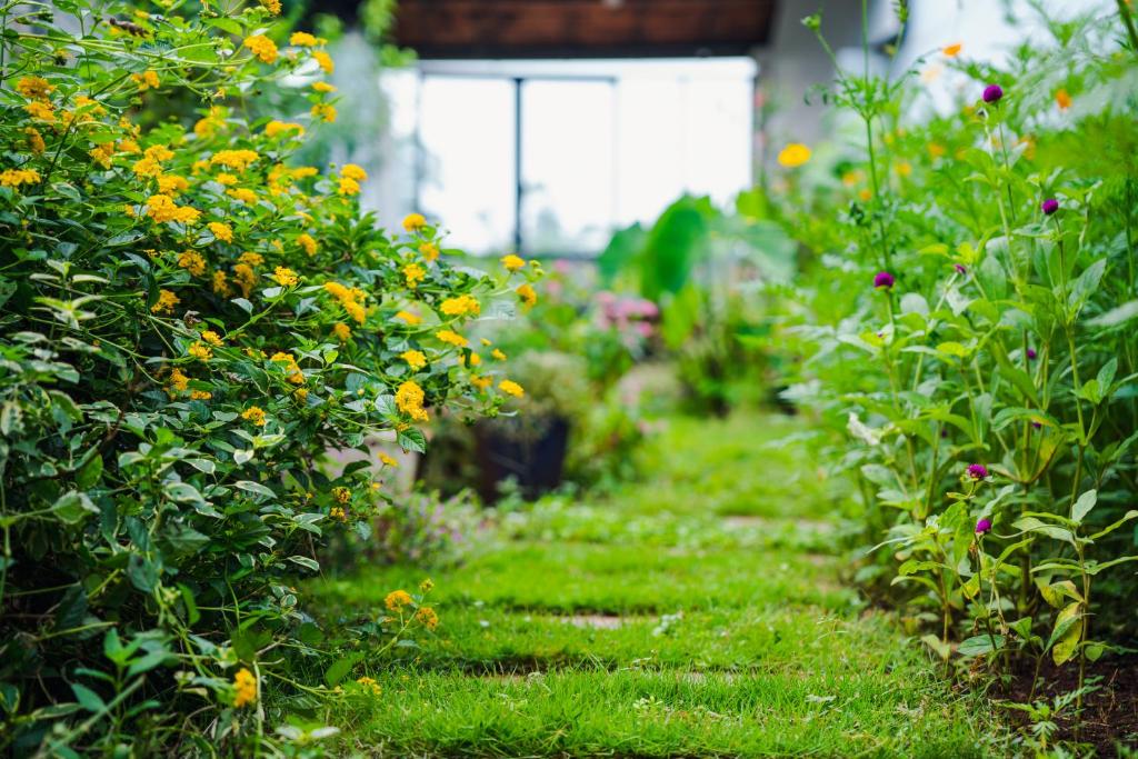 T&J Garden photo
