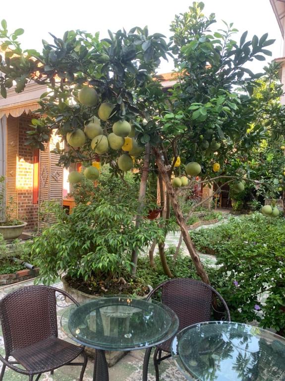 Tam Coc Family Homestay photo