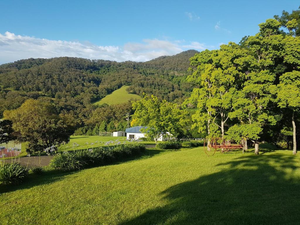 Cosy Cottage on Rainforest acreage with Waterfall