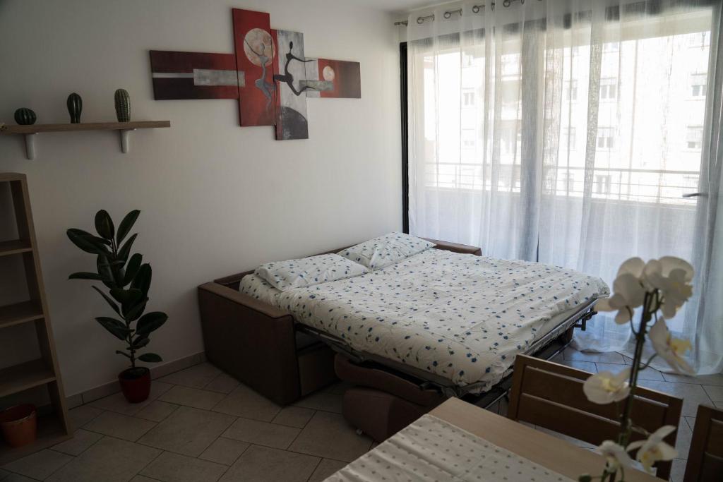 Casa Ricky - 3