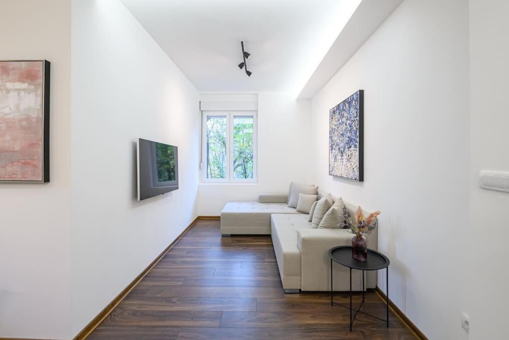 Dedinje apartment - 2