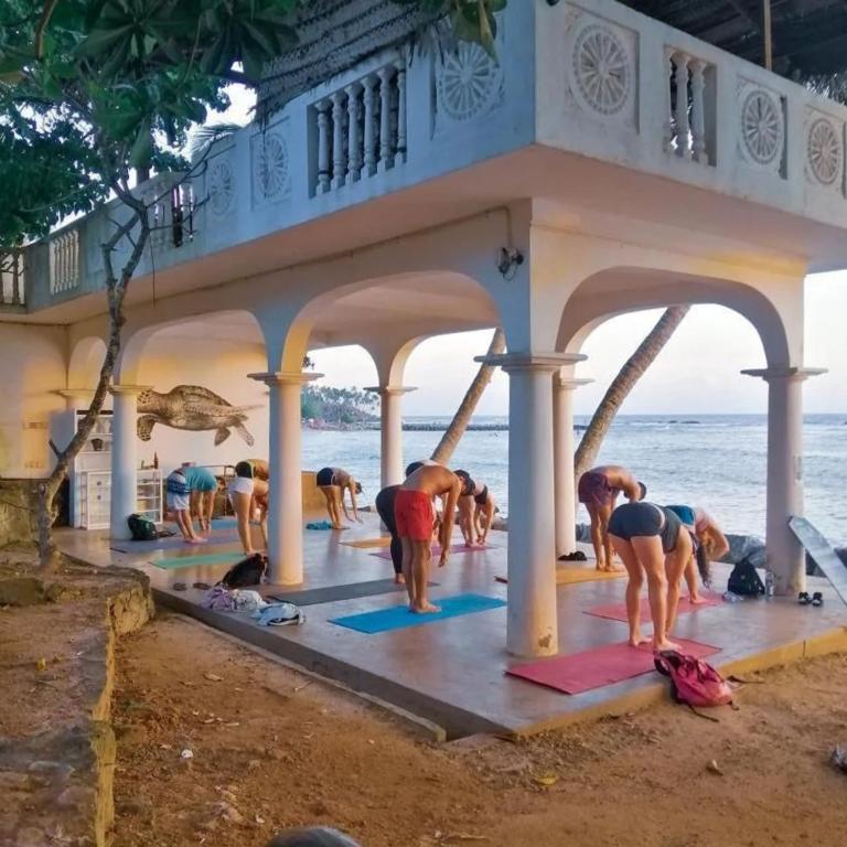 パーム ヴィラ ミリッサ (Palm Villa Mirissa) アクティビティ