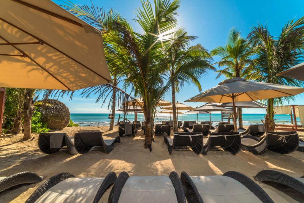 Mvngata Beach Hotel — Hotel in Playa Del Carmen