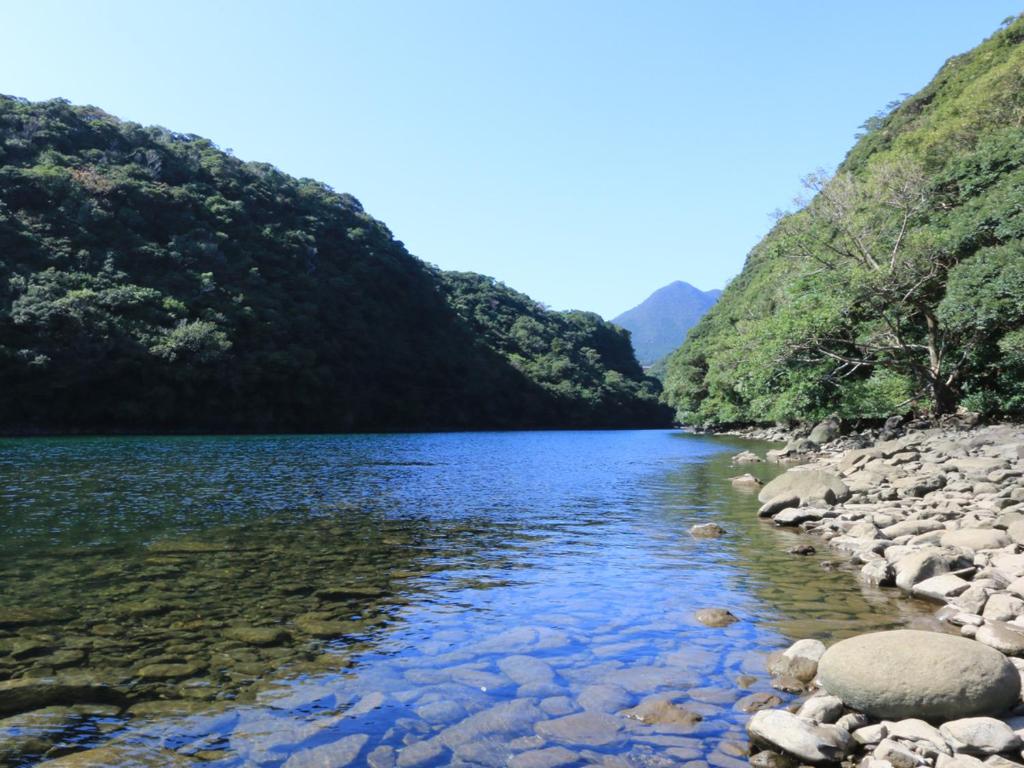 Minshuku Satomachi photo