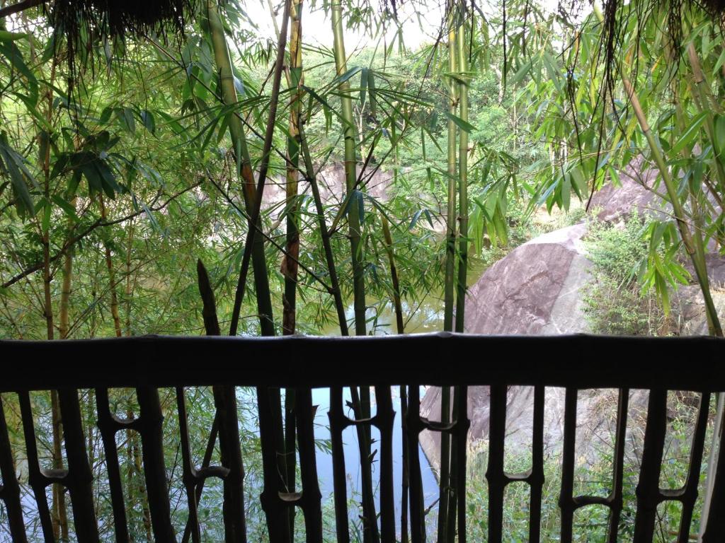 Uravu Bamboo Grove Resort photo