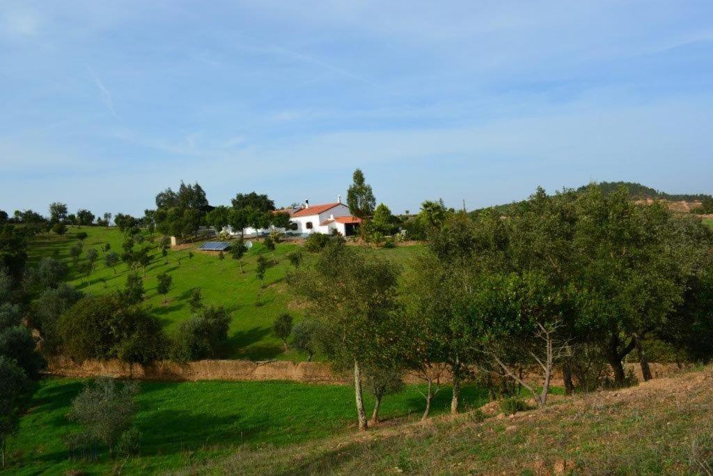 Quinta Do Grilo, Amoreiras