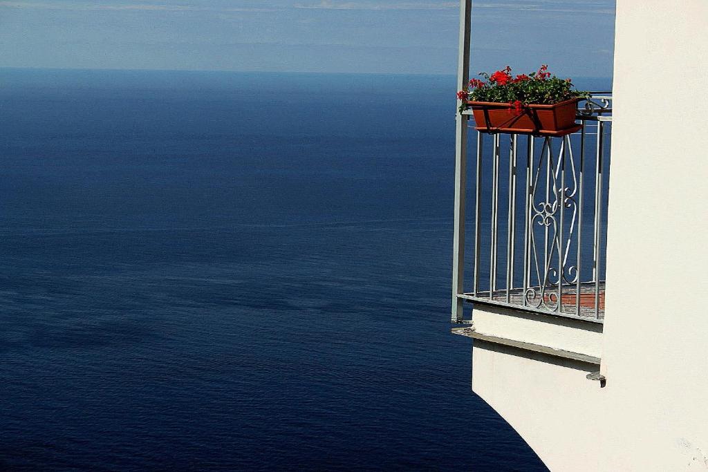 Villa Antica Macina photo