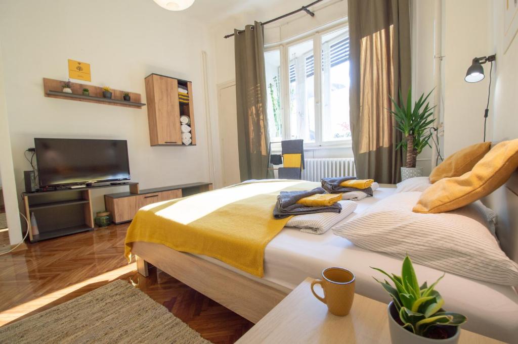 Pavla Papa Studio - Bright &amp; central — Hotel in Novi Sad