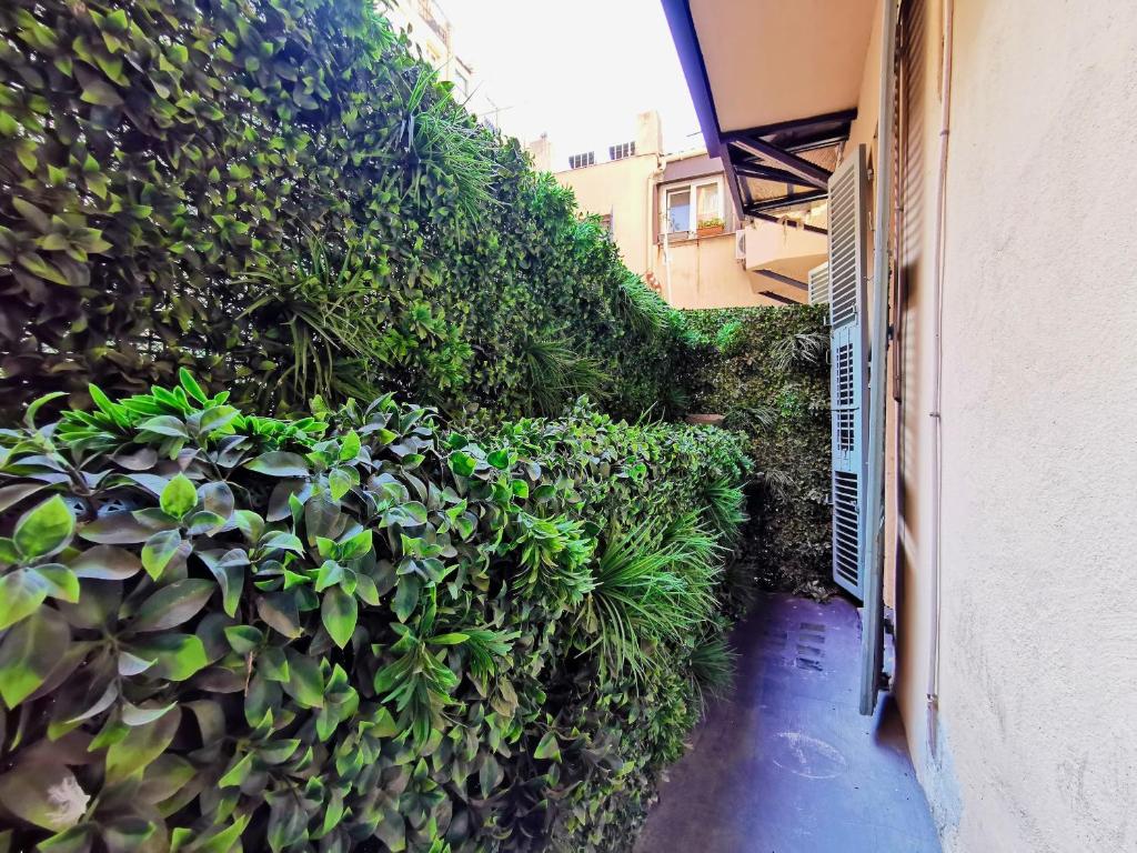 Le PETIT BALCON by Booking Guys photo