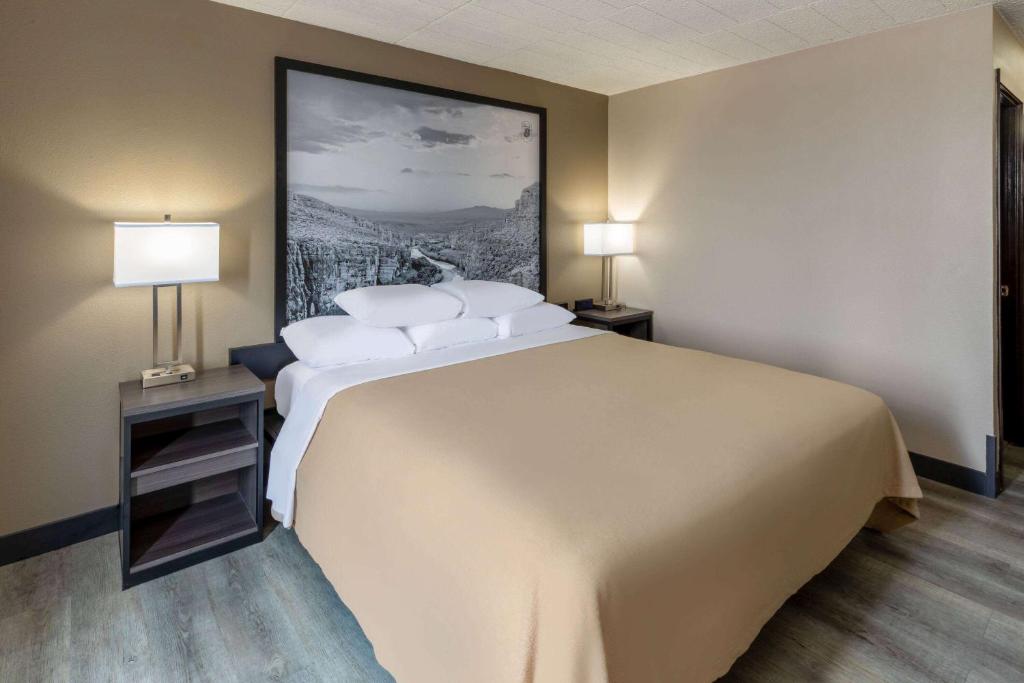 Super 8 by Wyndham Laredo photo