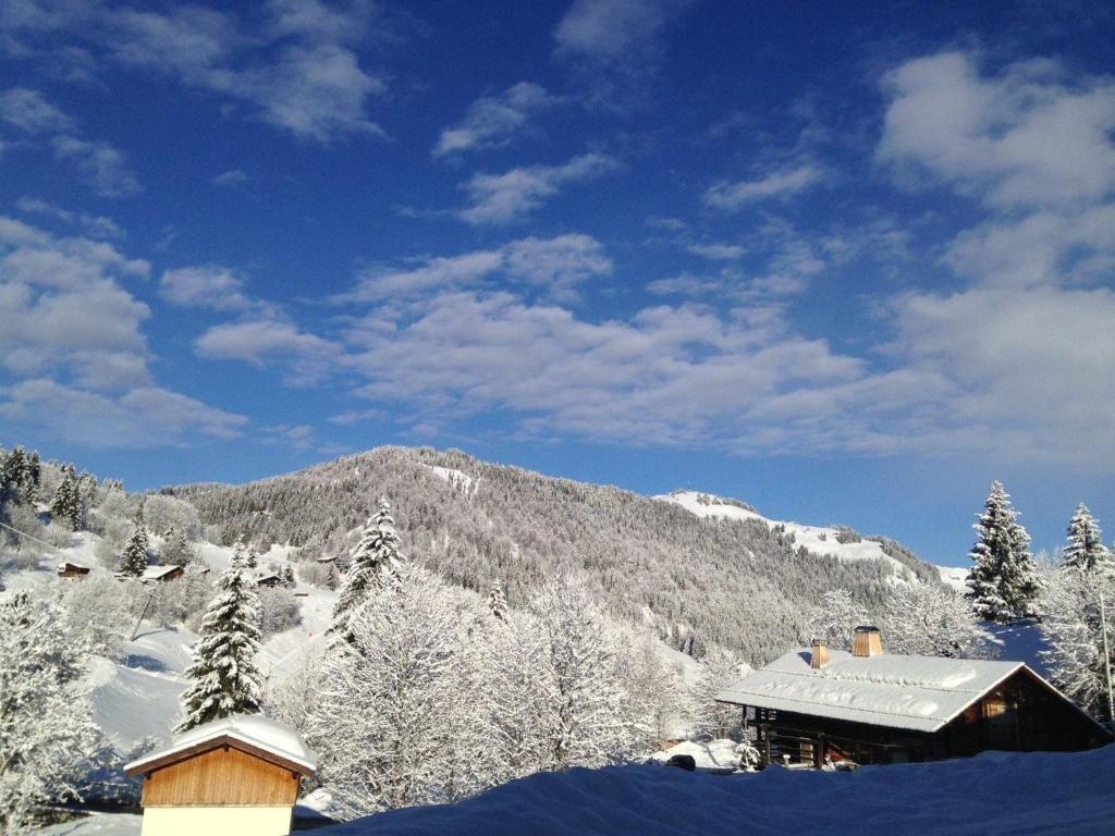Appartement avec terrasse pour 6 personnes proche pistes à La Clusaz - FR-1-459-199 - 2