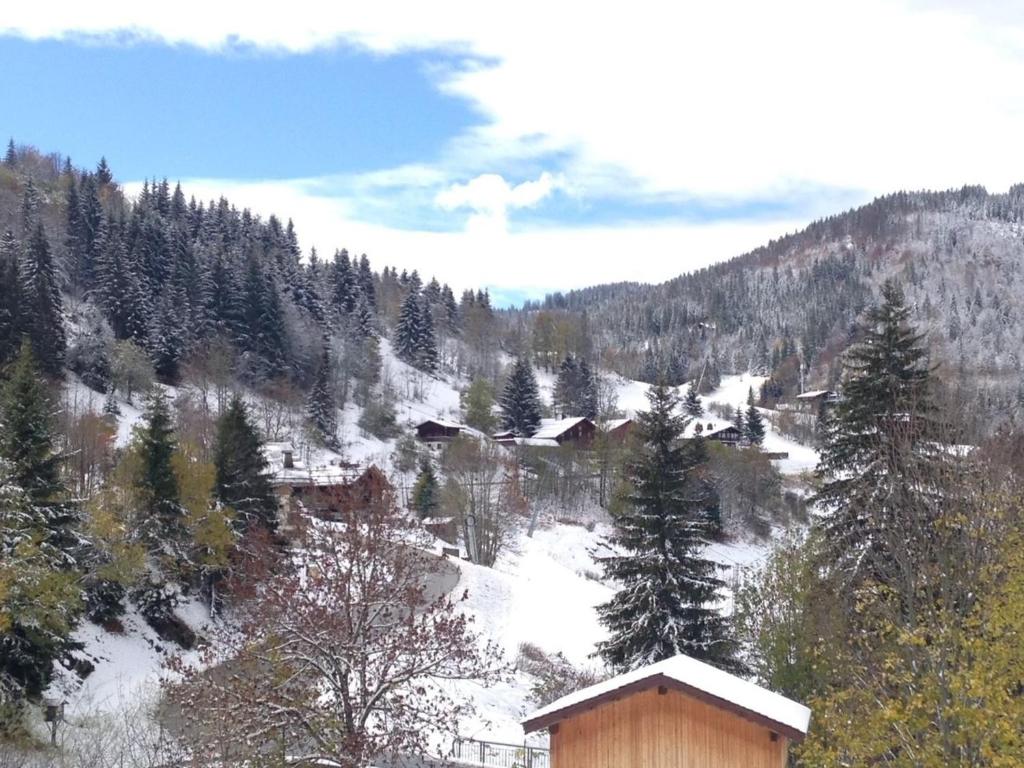 Appartement avec terrasse pour 6 personnes proche pistes à La Clusaz - FR-1-459-199 - 3