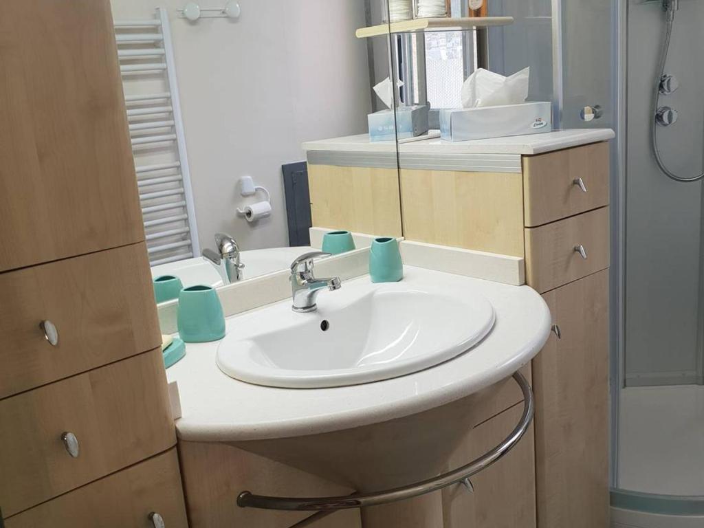 Appartement 6 pers - Proche Centre avec Parking - FR-1-234-295 - 2