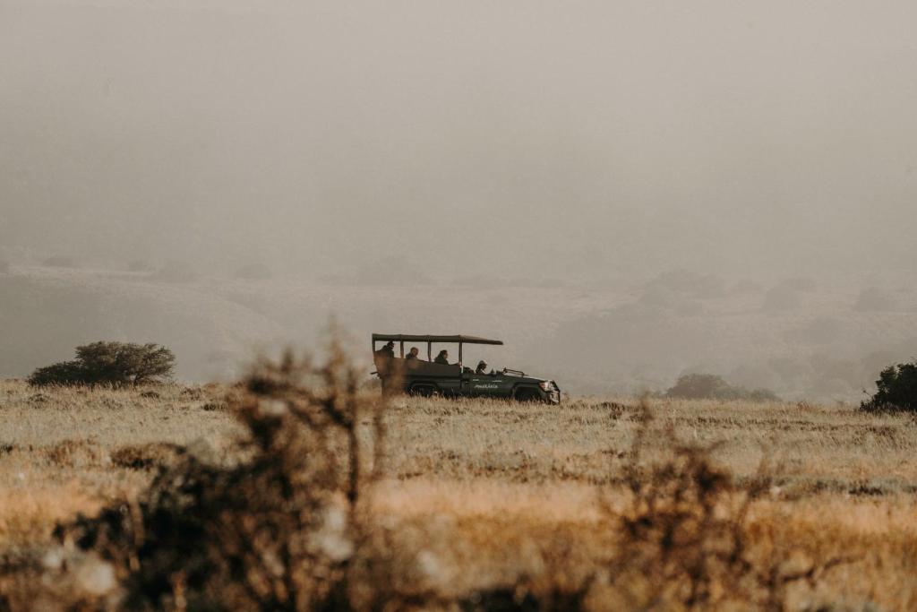 Surrounding environment