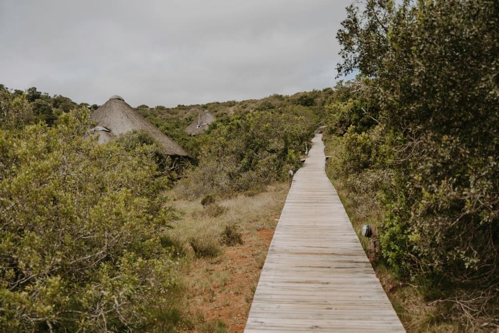 Surrounding environment