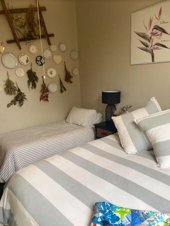 Tui Ridge Homestay photo