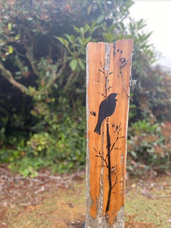 Tui Ridge Homestay photo