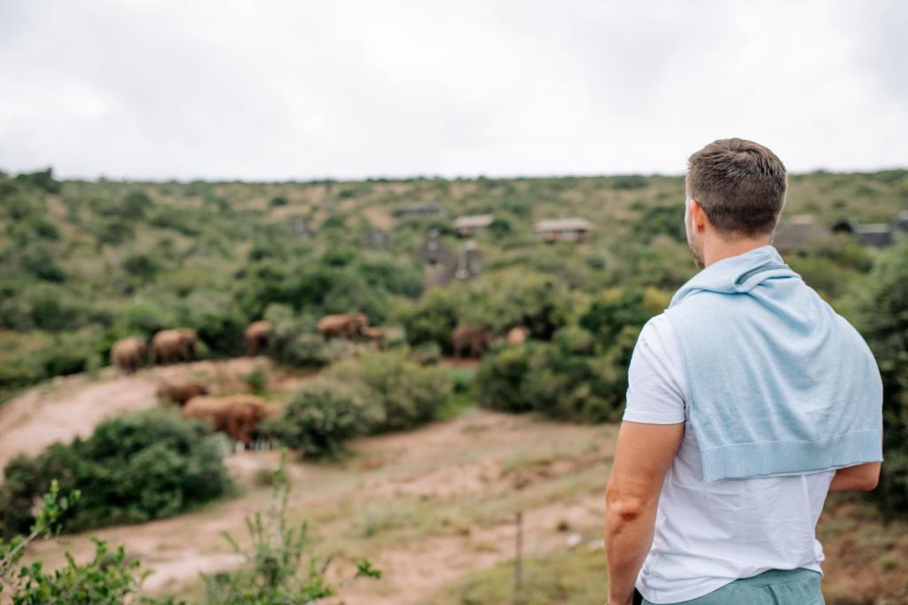 View