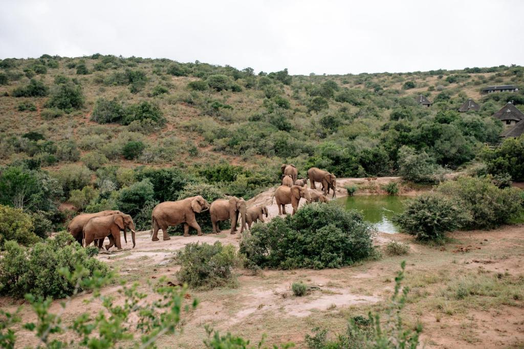 Surrounding environment