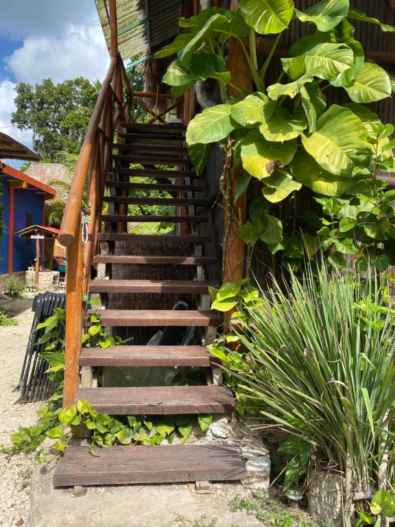 Malinche Cafe in Coba Tulum photo