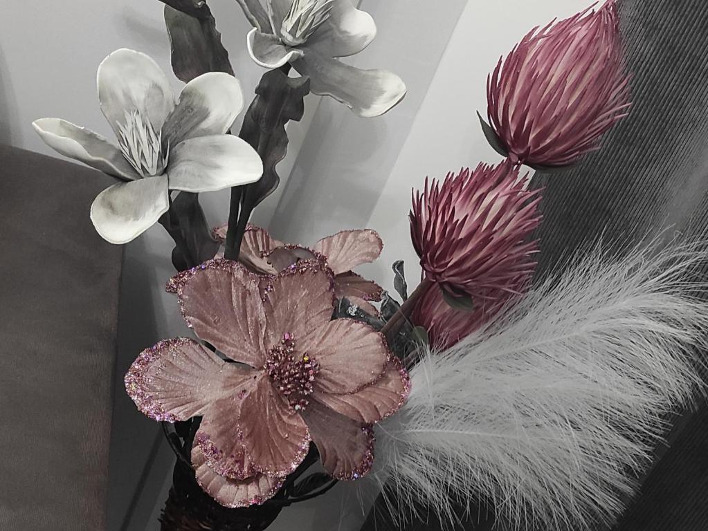 Divcibare As apartmani, Divčibare