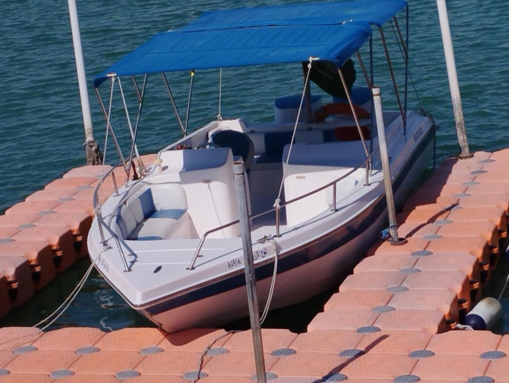 アクティビティ