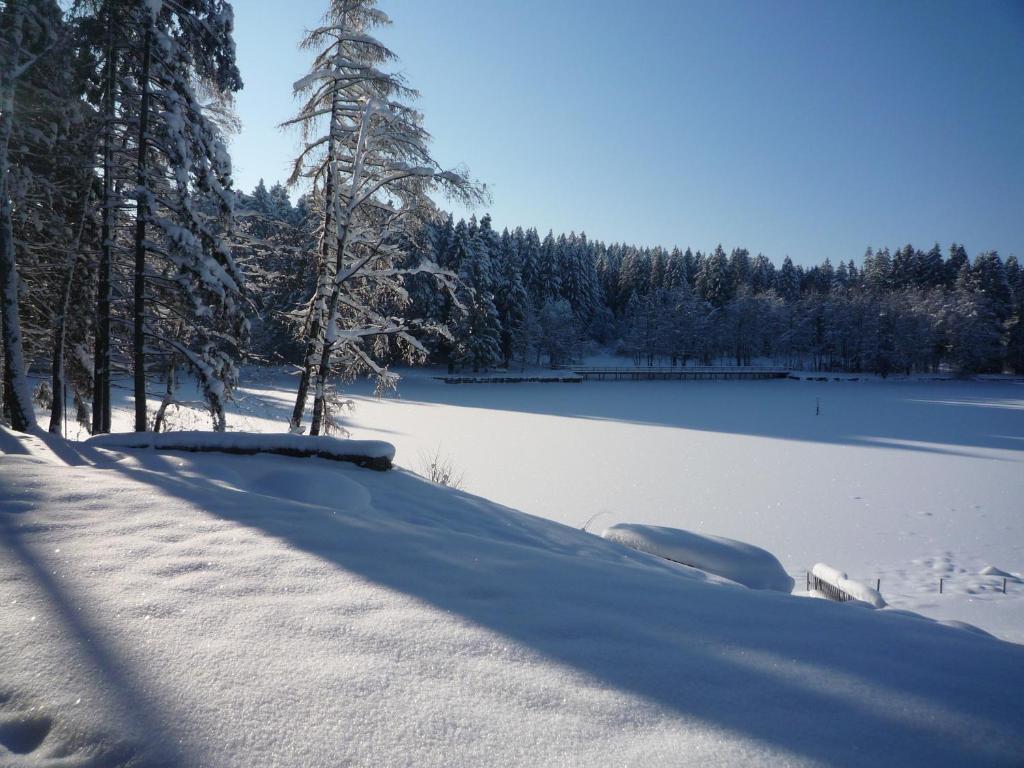 Hotel Waldsee photo