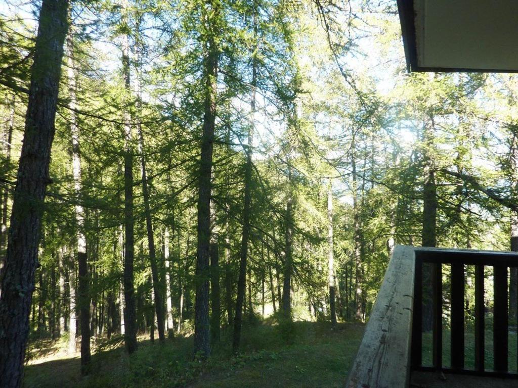 Appt skis aux pieds avec parking, balcon, 4 lits, animaux acceptés - FR-1-322-154 - 2