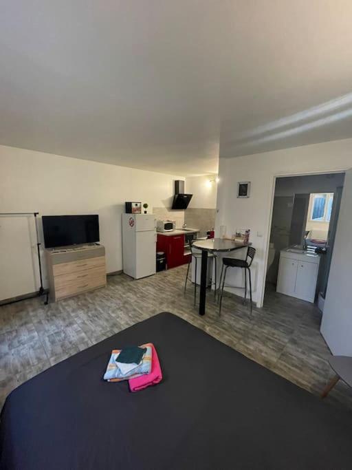 Superbe appartement terrasse wifi, Paroy-sur-Tholon