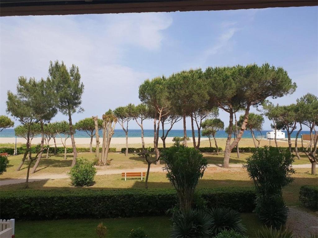 Appartement T2 en bord de mer - Terrasse - Parking - Argelès-sur-Mer - FR-1-388-31 - 1