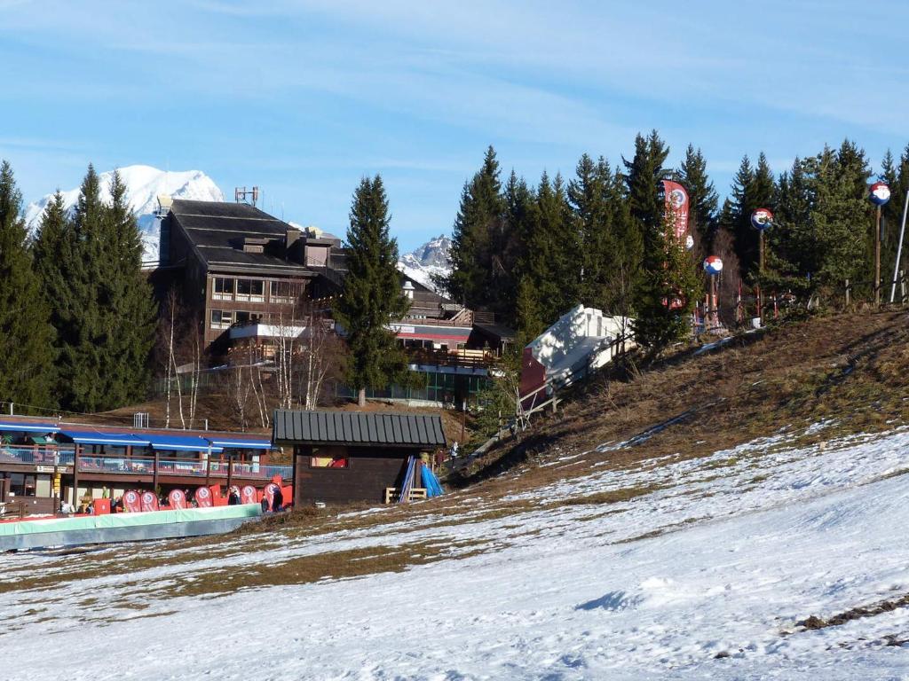 Appartement duplex, animaux OK - 10 pers., vue pistes - FR-1-411-45 - 5
