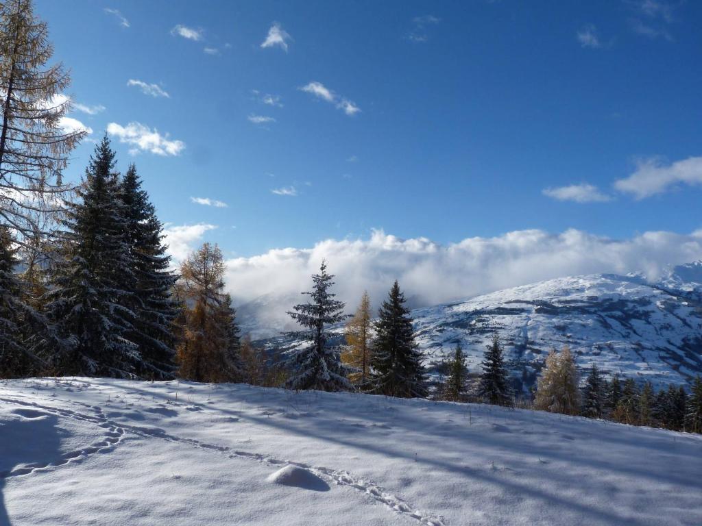 Appartement Les Arcs 1800, 2 pièces, 5 personnes - FR-1-411-23 - 2