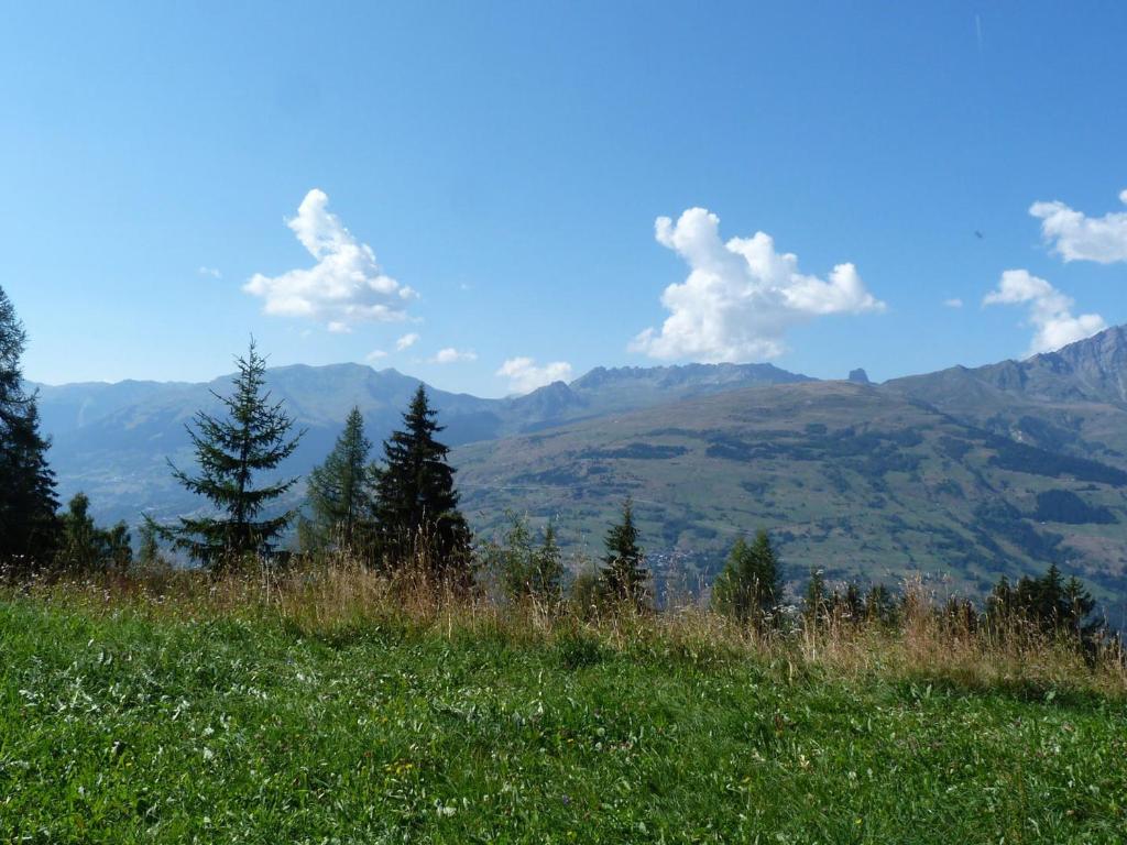 Appartement Les Arcs 1800, 2 pièces, 5 personnes - FR-1-411-23 - 3