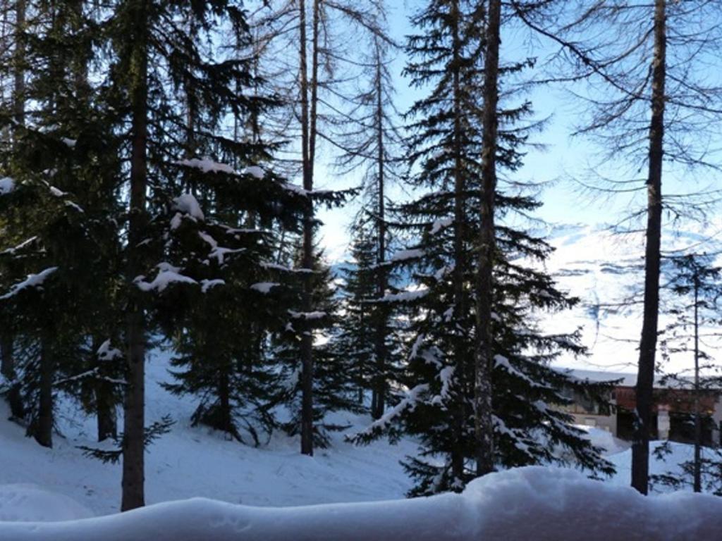 Duplex 2 pièces, 6 pers., ski aux pieds, Arc 1800, animaux admis - FR-1-411-219 - 3